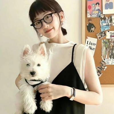 青云志2